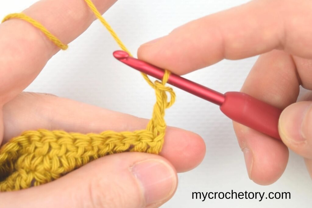 How To Crochet Standing Stitches: double crochet - completed standing double crochet stitch