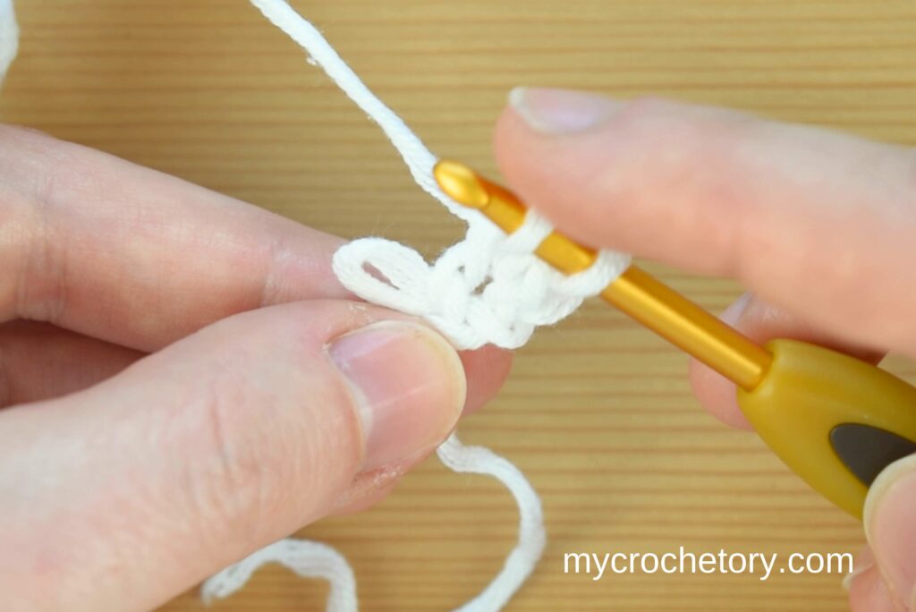 Finish row by inserting hook in last dropped loop. How to crochet an I-cord for beginners.