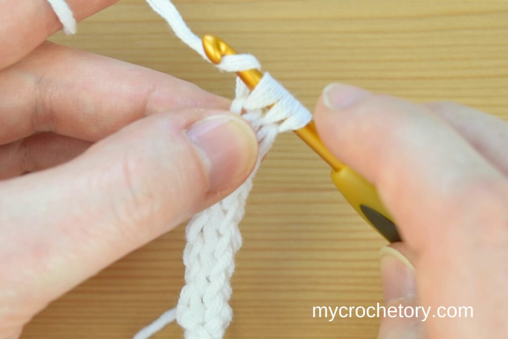 Achieve desired length, draw through loops. How to crochet an I-cord.