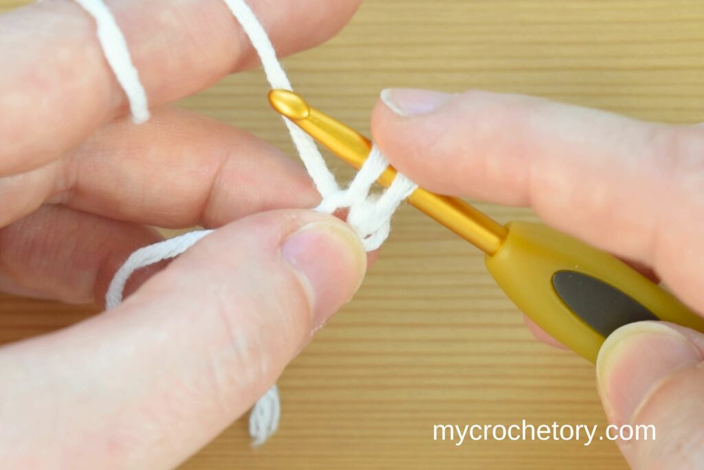 Yarn over and pull through to make 2 loops. Crocheting an I-cord step by step.