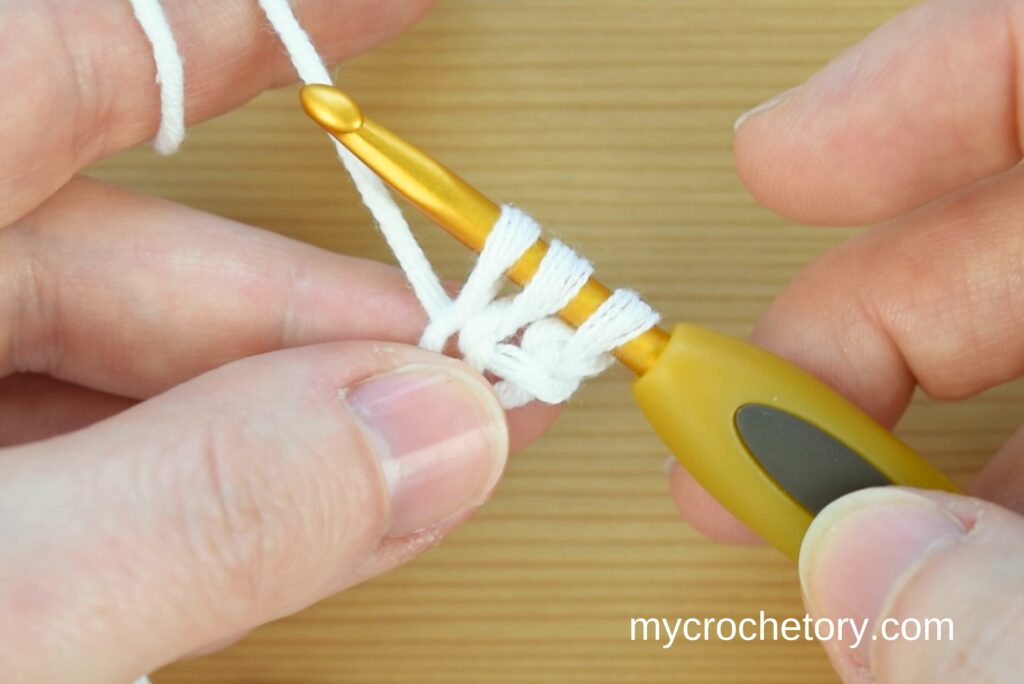 Pull yarn through to create 3 loops. Crochet I-cord guide for beginners.