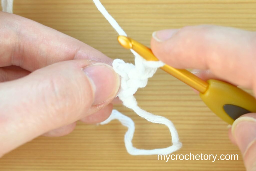 Insert hook into closest dropped loop. How to crochet an I-cord step by step.