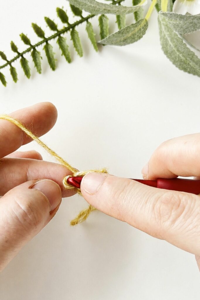 Inserting the hook into the last dropped loop of a crochet I-Cord