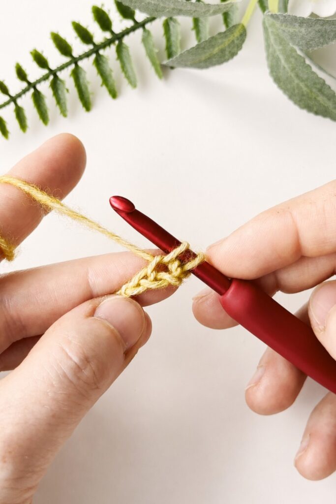 Pulling up a loop with a crochet hook while making an easy crochet I-Cord