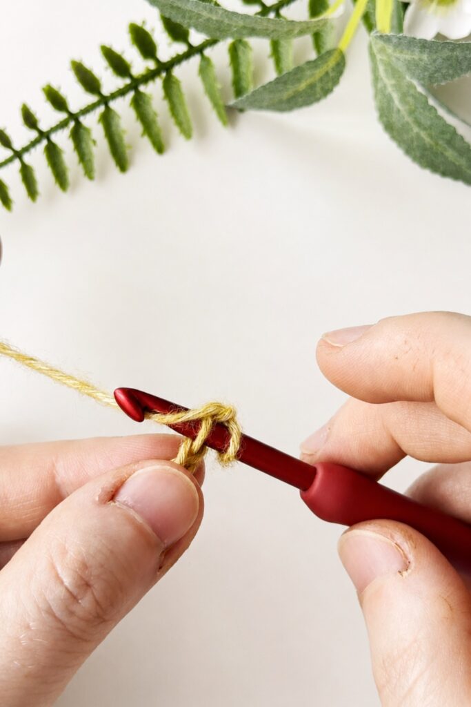 Crochet hook inserted into the second chain to start a crochet I-Cord