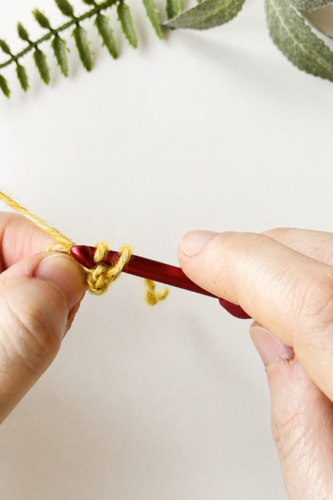 Crochet hook placed into the closest dropped loop while making an I-Cord