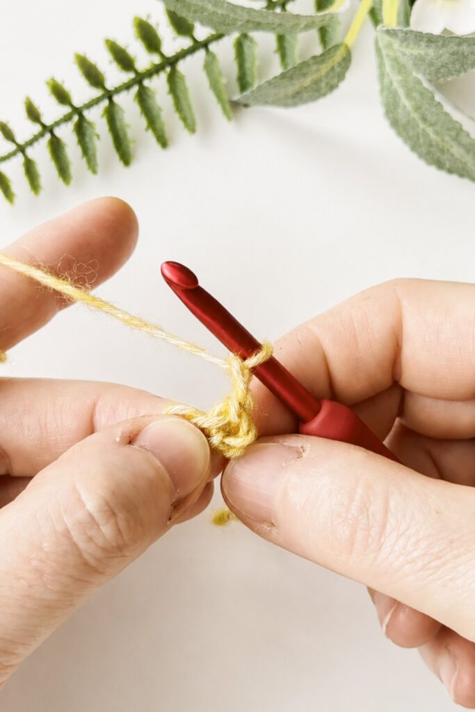 Pulling yarn through a dropped loop to continue a crochet I-Cord