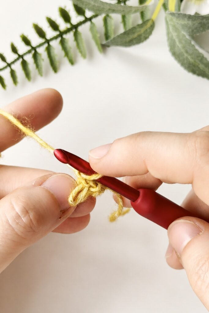 Close up of a crochet hook picking up a dropped loop for an I-Cord