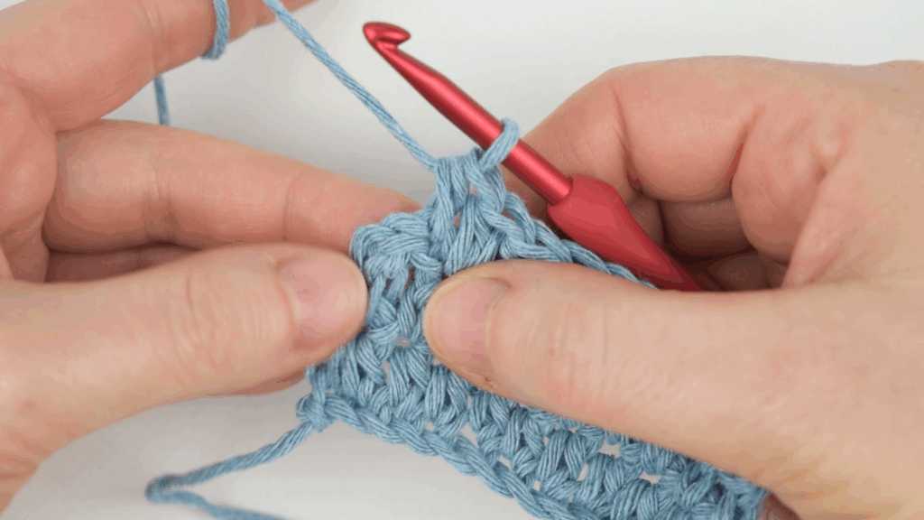 Continuing row with half double crochet stitches after lifted edge setup